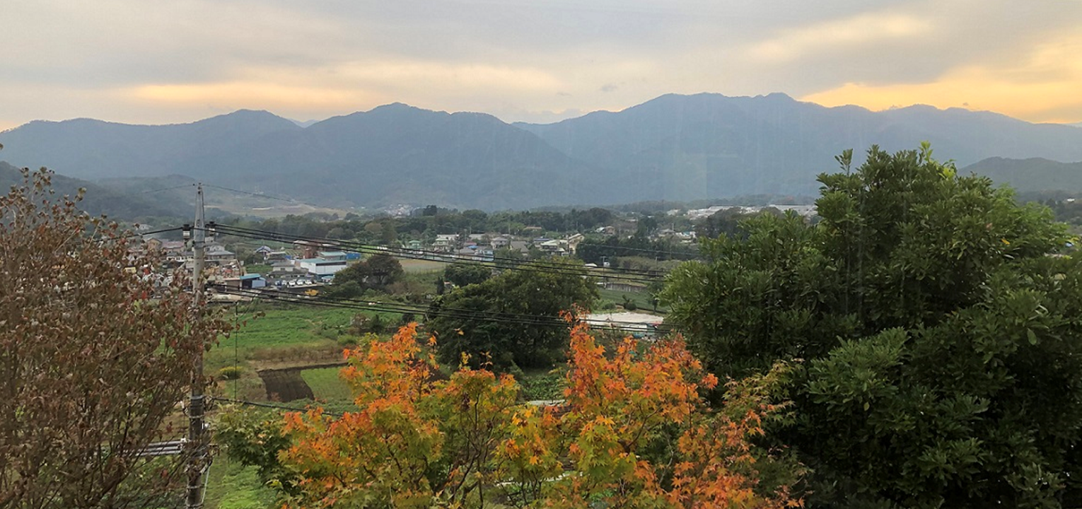 丹沢山地の風景